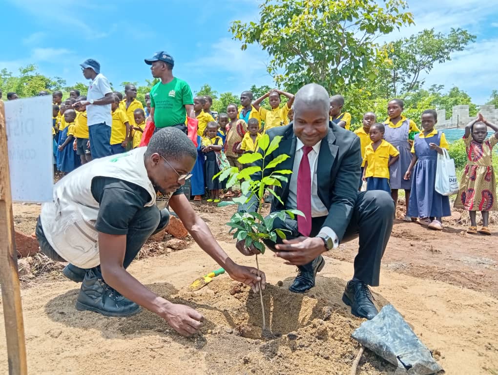 Cover image for Nkhotakota District Council reduces tree-planting target to improve survival of seedlings